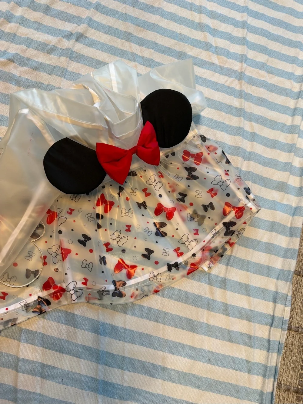 Disney Clear Rain Jacket with Pink Trim